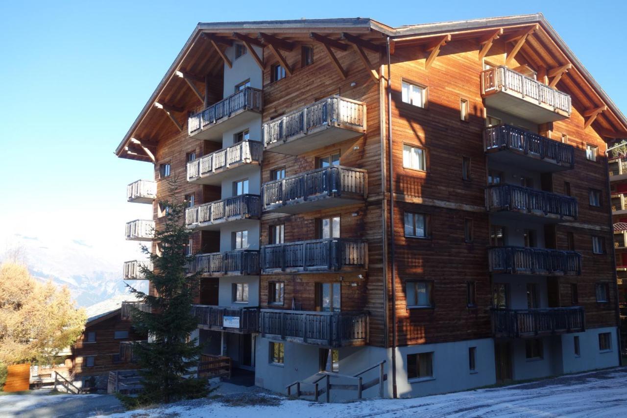 Pracondu Outdoor & Fun Appartement 1 Chambre Avec Balcon By Alpvision Residences Nendaz Exteriér fotografie